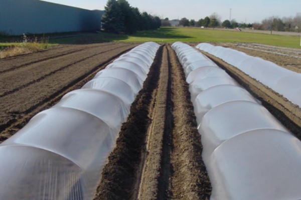 Tunnel Layer - Model 95 Photo