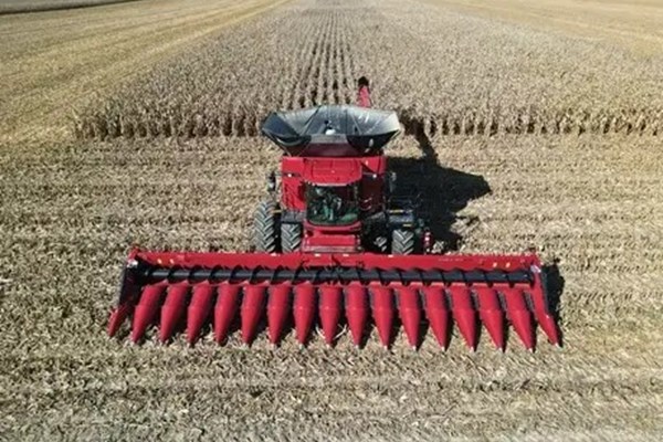 C516 Photo
