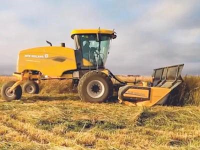 Windrower Headers Durabine™ 416 Plus Specialty Photo
