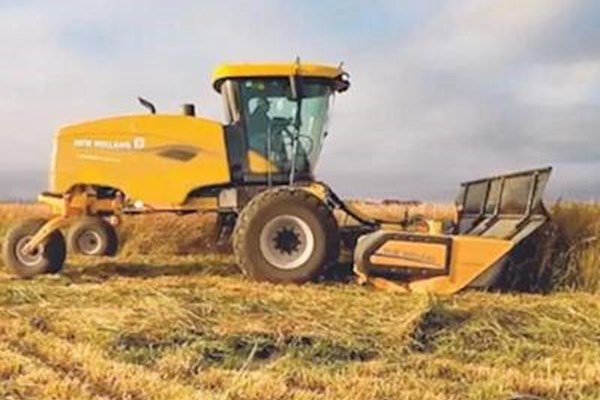 Windrower Headers Durabine™ 416 Plus Specialty Photo